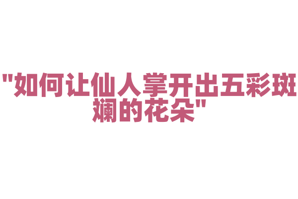 "如何让仙人掌开出五彩斑斓的花朵"